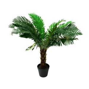Fern Plant 70cm