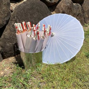 White Parasols in a bucket